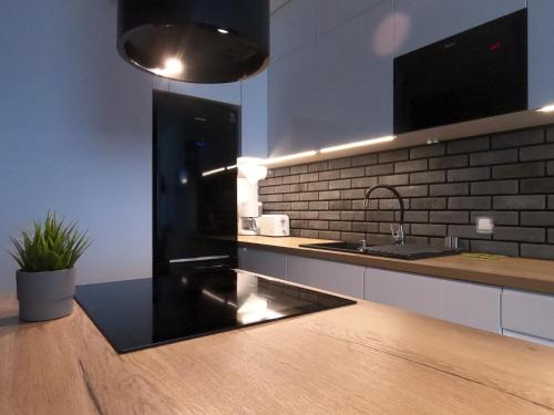 Grunwald Apartment | Miko Apartment 1