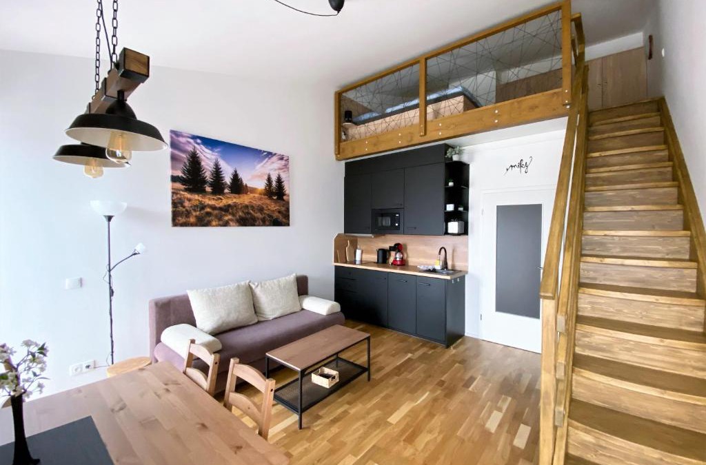 Loucna Pod Klinovcem Apartment | Miky Apartmán Klínovec view