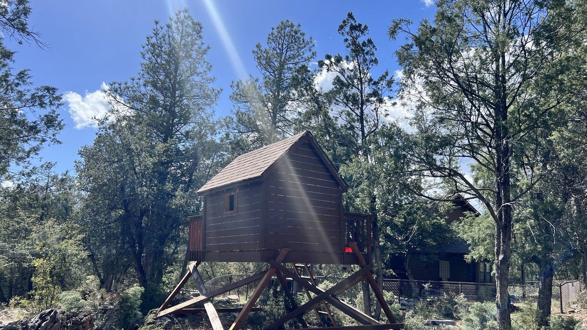 Whispering Pines Cabin | Miles of National Forest in Backyard - Cozy Cabin in Seclusion