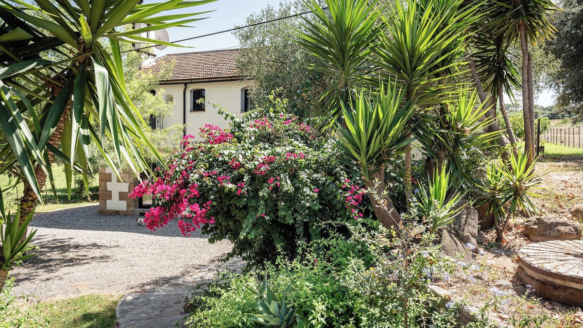Los Barrios House | Mill house on Organic Cork and Cattle Farm with Summer Camp for Children