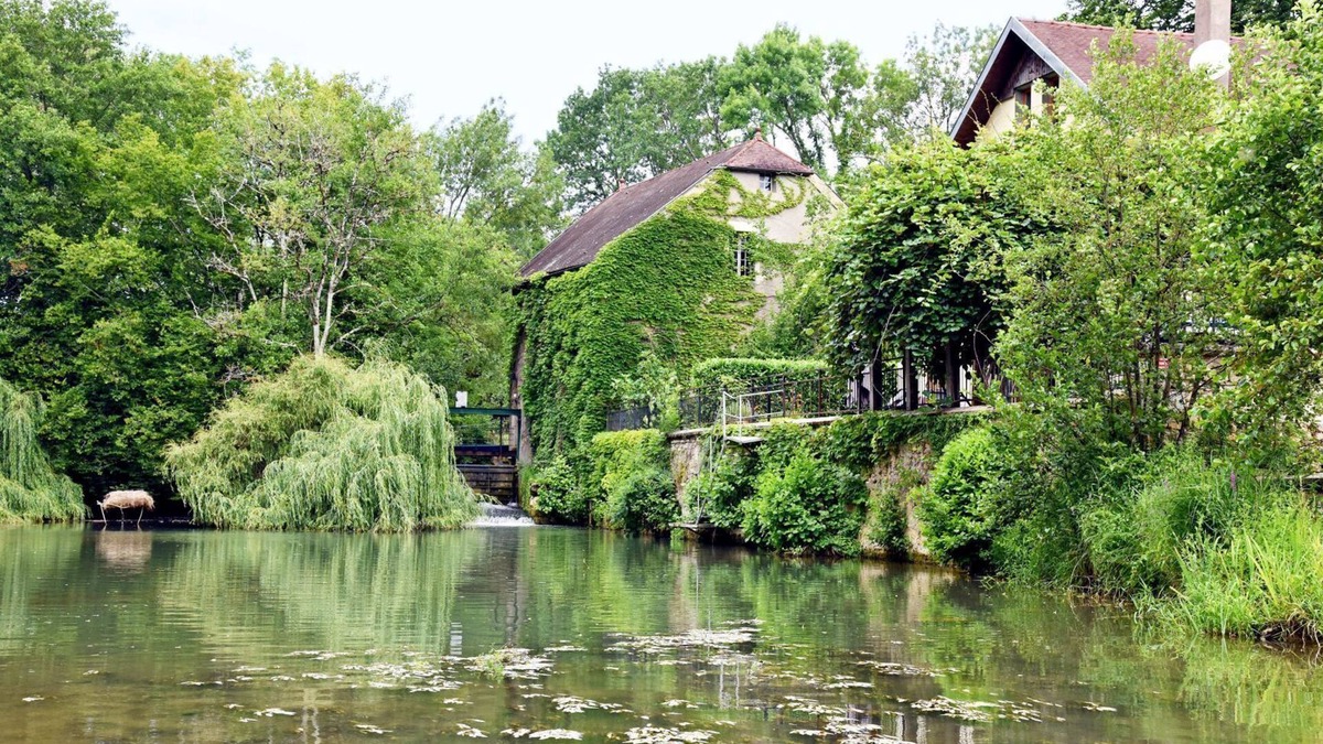 Reneve House | Mill of Jancigny in Burgundy