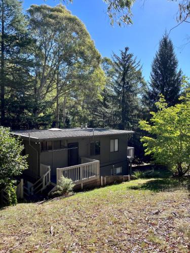 Sawmill Settlement House | Milly @ Sawmill
