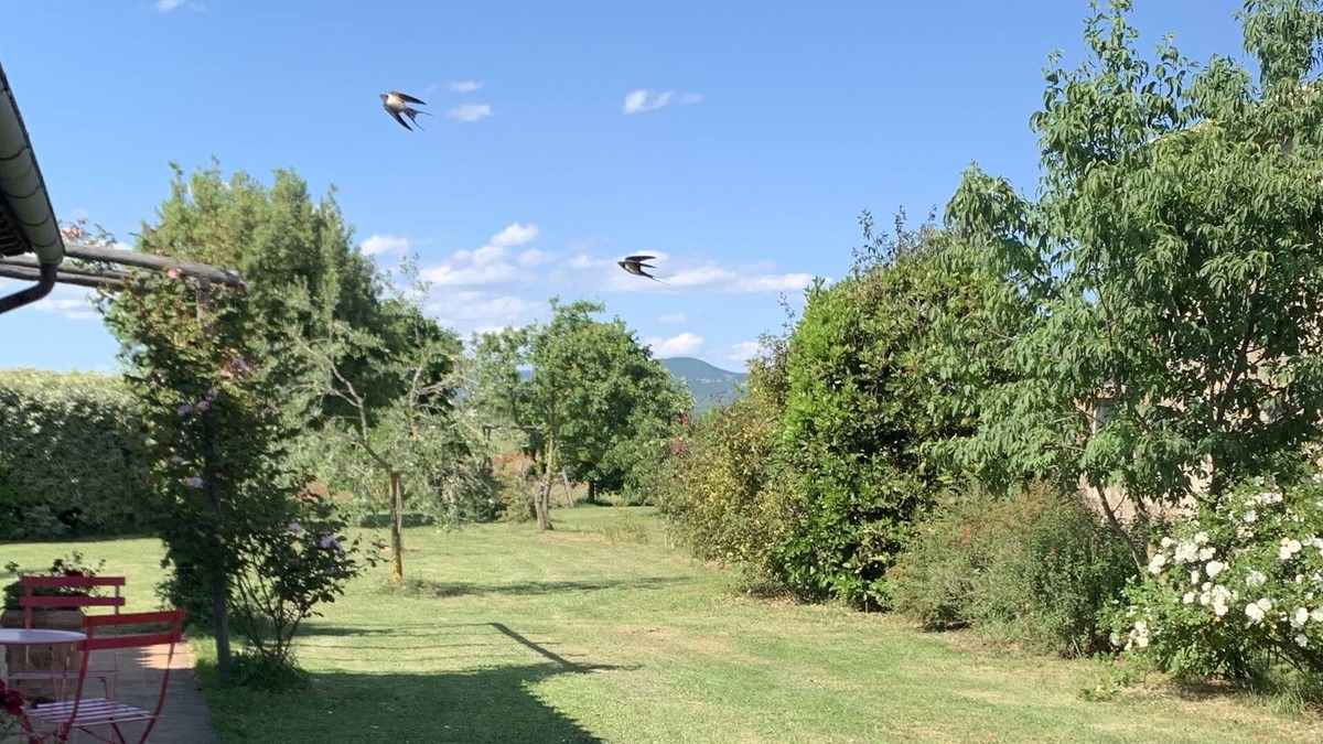 Orvieto Apartment | Milva's Nest Countryside