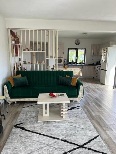 Baia de Fier Villa | Mimi house