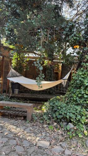 Contadero Other | Mindfulness Glamping, Retiro de Yoga, Todo Incluido