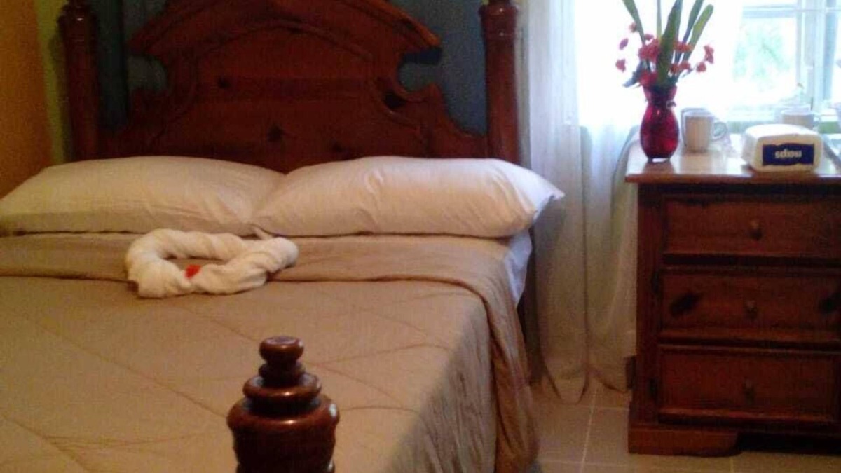 Constant Spring Apartment | Mini Self Contained- Manor Park Kingston