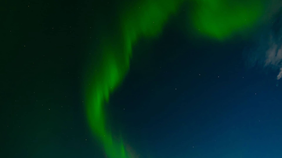 Selfoss Apartment | Minniborgir Cottages & Restaurant