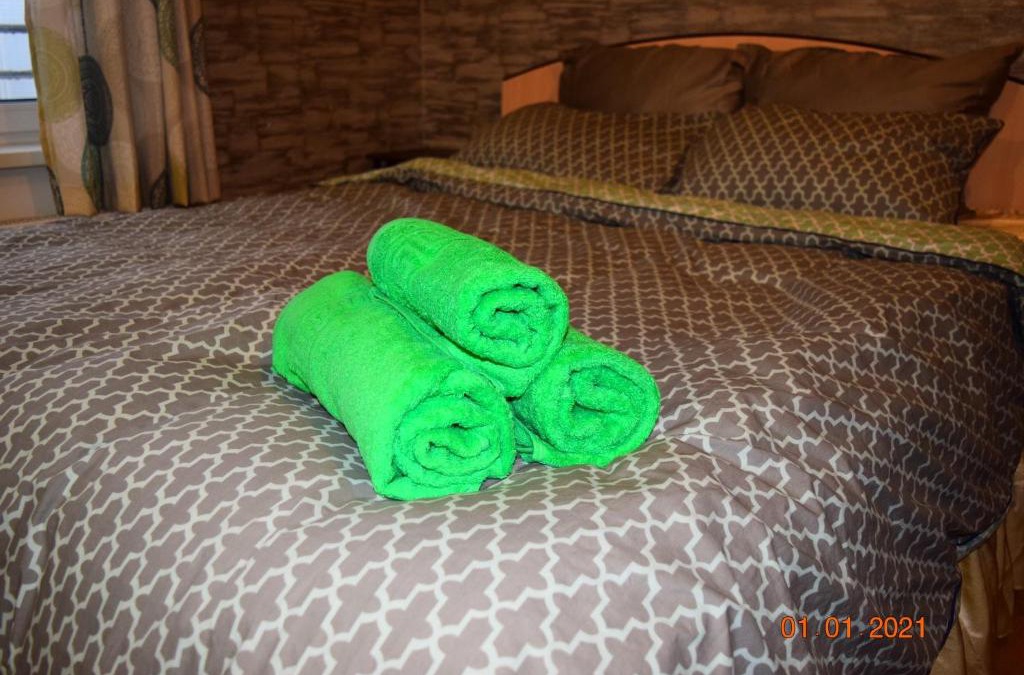 Oktyabrsky District Apartment | Minsk 1 apartments Albatross