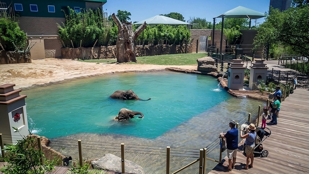 Memorial Hotel | Minutes away from Houston Zoo! Pets Allowed! Wheelchair-accessible! Gym! BBQ!