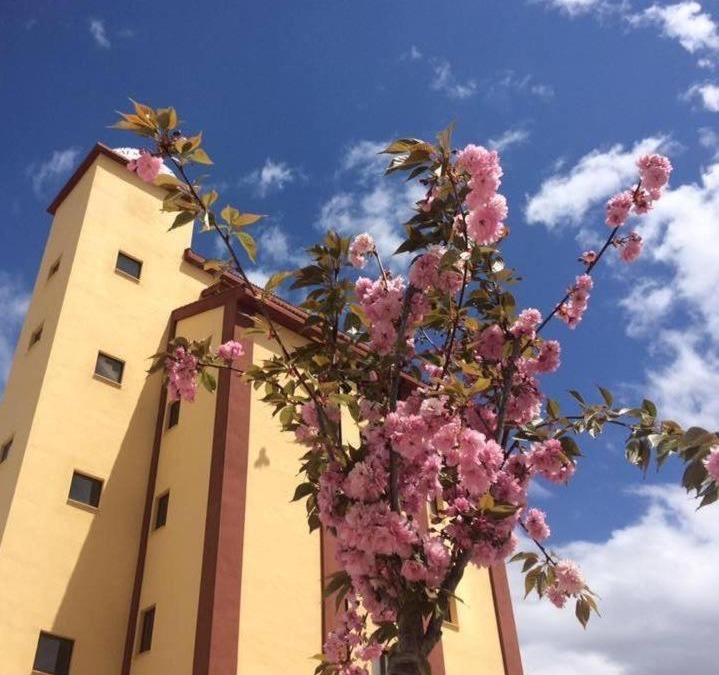 Bello Hotel | Mirador El Silo