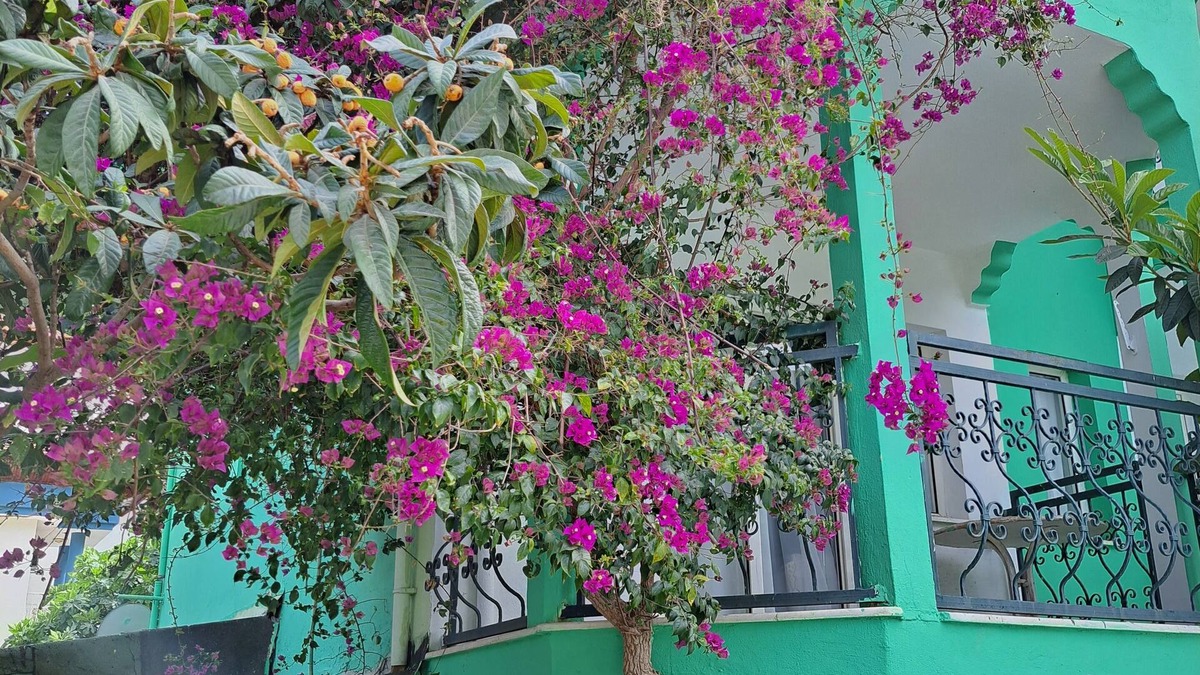 Marmaris City Center Apartment | Miramonte Apart Hotel