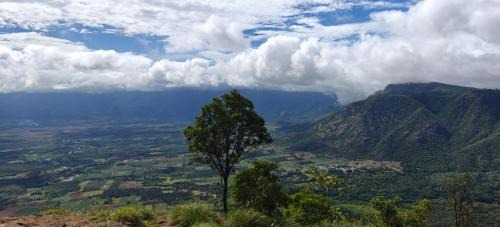 Thekkady Bed & Breakfast | Misty Views Homestay
