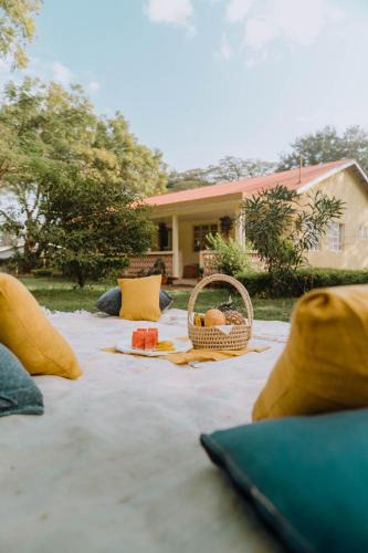 Moshi House | Mkoani Homestay