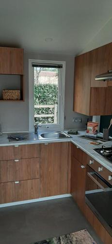 Ronce-les-Bains Other | Mobil home neuf 6 personnes