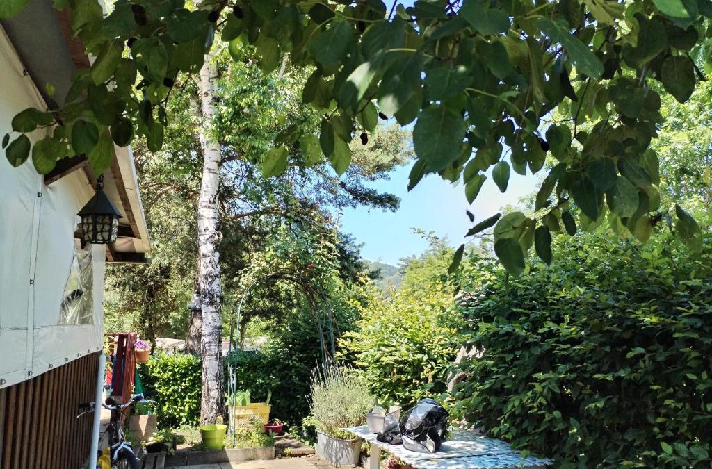 Aurec-sur-Loire Other | mobile home aux Rives D'Aurec
