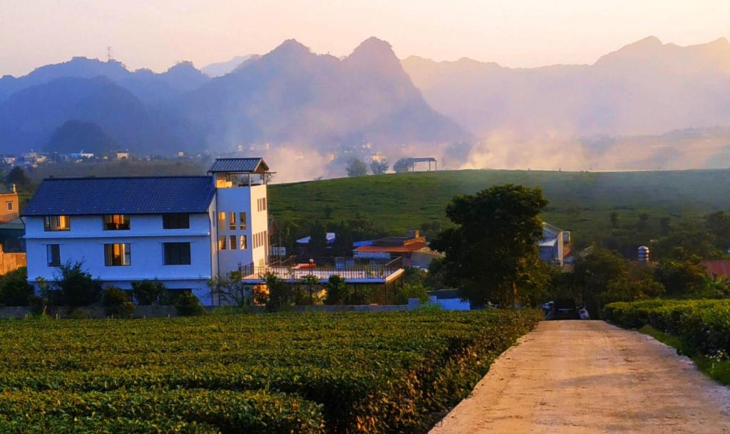 Moc Chau House | Moc Chau Cottage homestay