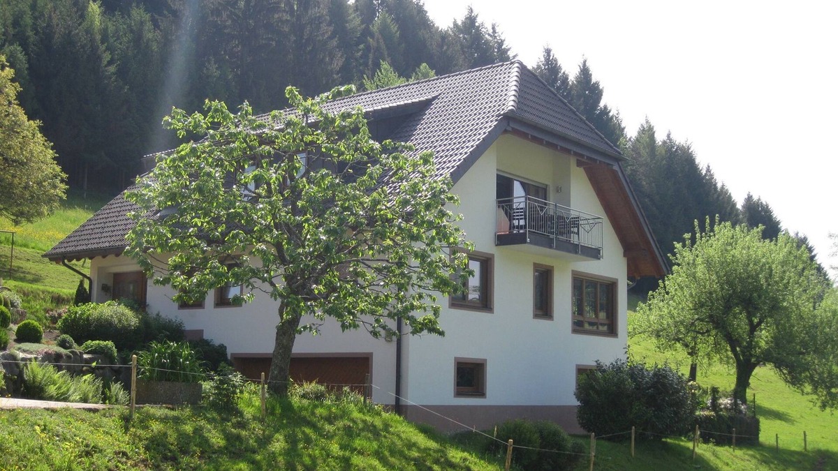 Kollnau Apartment | Mockhof - Bachhüsliblick