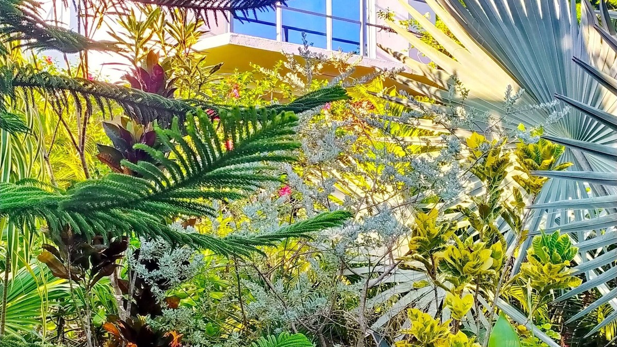 Ranna Villa | Modara Ocean Villa