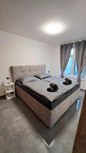 Slovensky Grob Apartment | Moderný 3 izbový dom so záhradou a terasou blízko Bratislavy