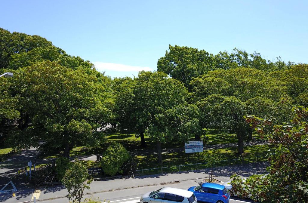 Christchurch City Centre Apartment | Modern 1 Bedroom Apartment across from Hagley Park