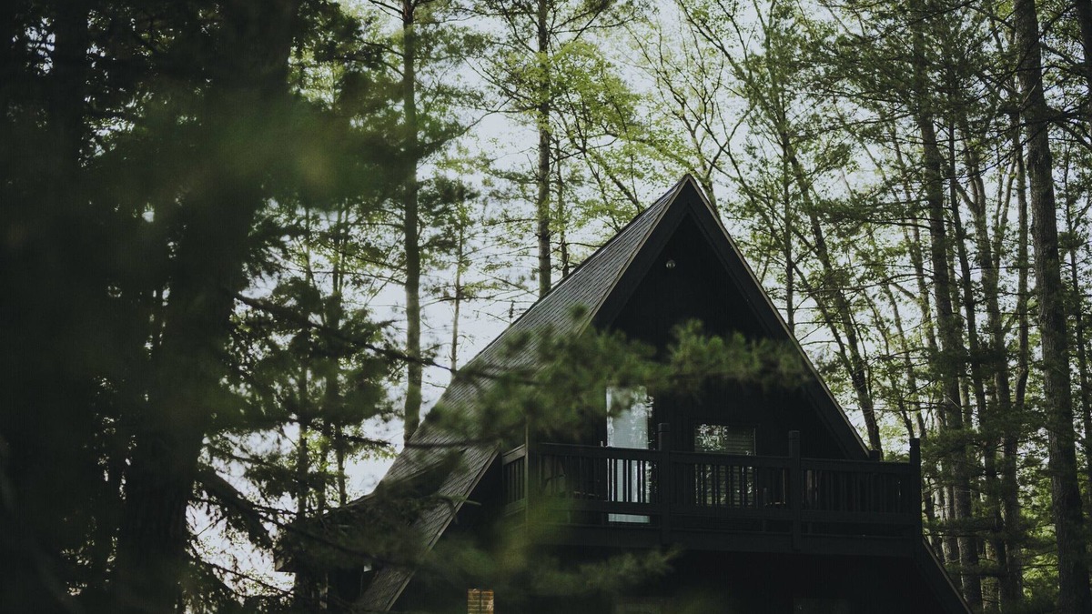 Gaylord Cabin | Modern A Frame cabin - on beautiful Fawn Lake!