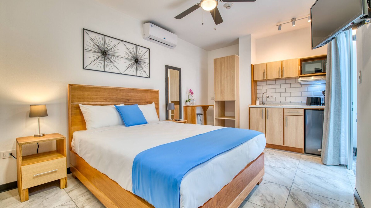 San Jose Apartment | Modern Apartment in San Jose Downtown with patio!