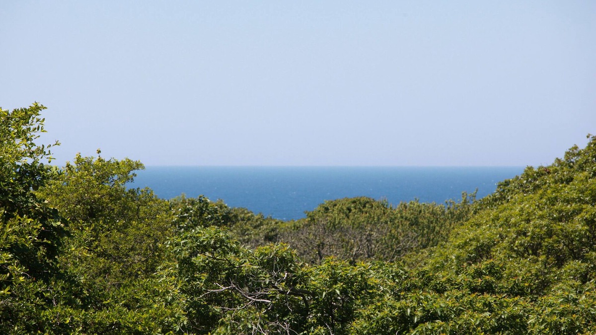 Aquinnah House | Modern beach house - Walking distance to Philbin Beach