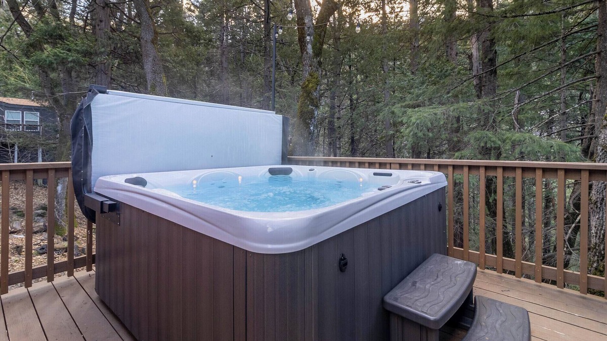 Dunsmuir Cabin | Modern Cabin (Banyan)