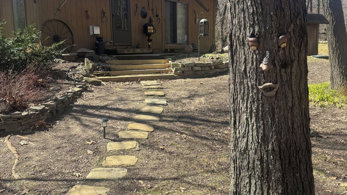Ortonville Cabin | Modern Cabin in the Woods with WiFi, AC