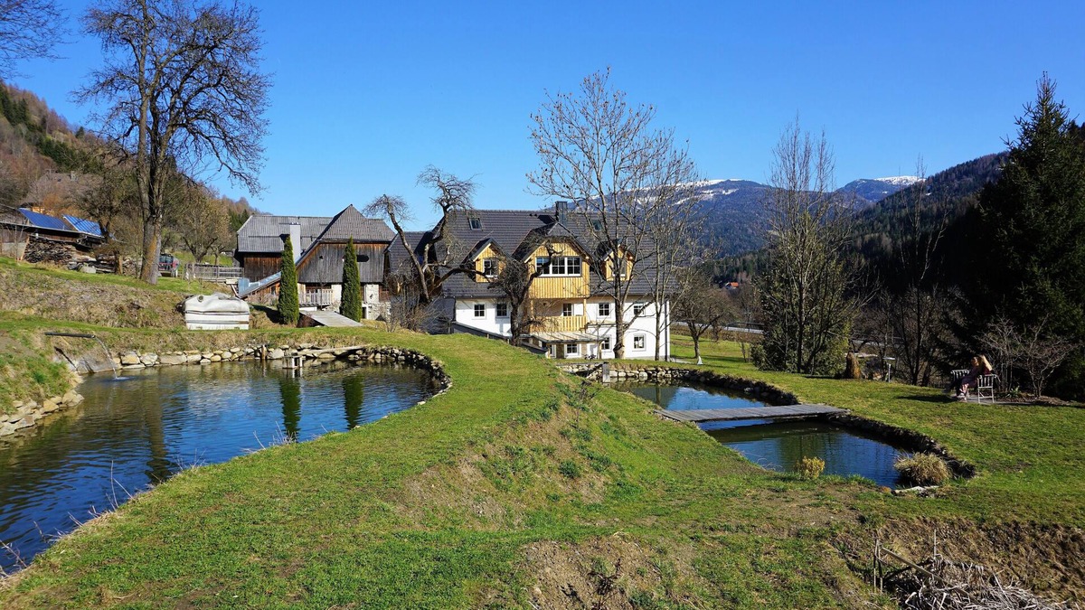 Sankt Georgen am Kreischberg Apartment | Modern family apartment of 120m2 with a huge garden, fish ponds and alpacas