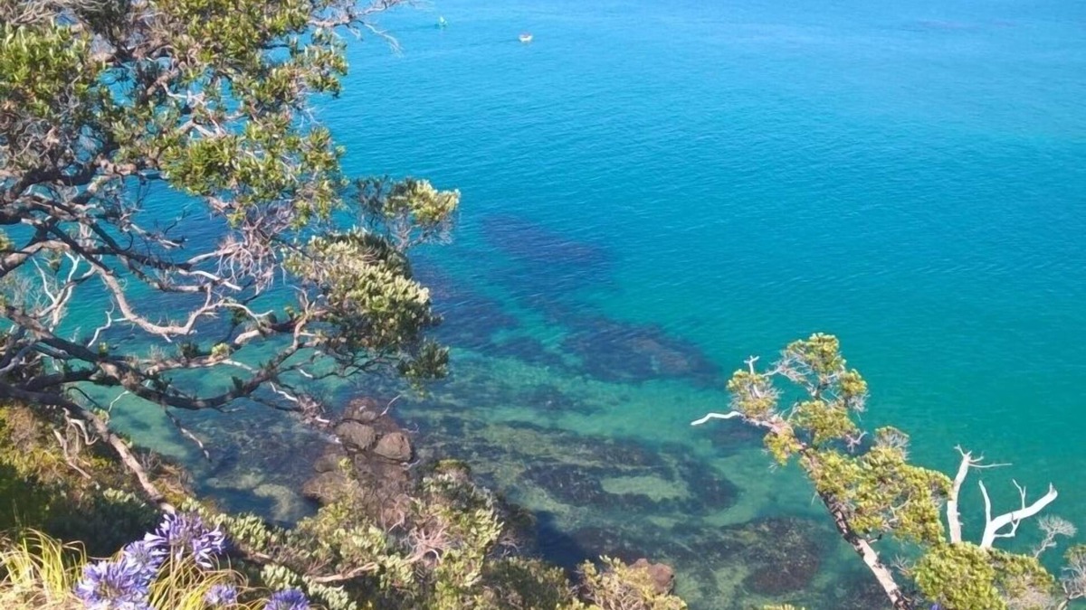 Tutukaka House | Modern family-friendly home - minutes from beach