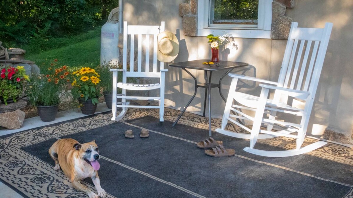 Clifford Apartment | Modern , farmhouse basement, suite, queen bed, efficiency , dogs welcome.
