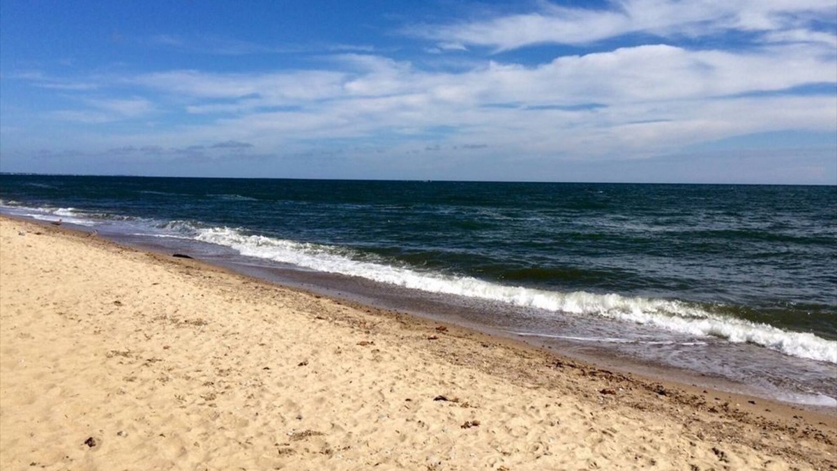 Mashpee House | Modern Home, 5-Star Reviews. Walk to Priv Beach, Shops, Dining, Mini-Golf, More!