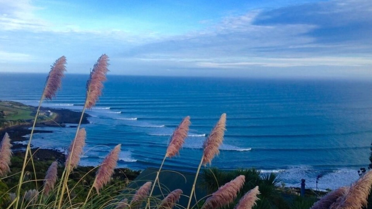 Raglan House | Modern home, great harbour views, also 3 bedroom lodge.