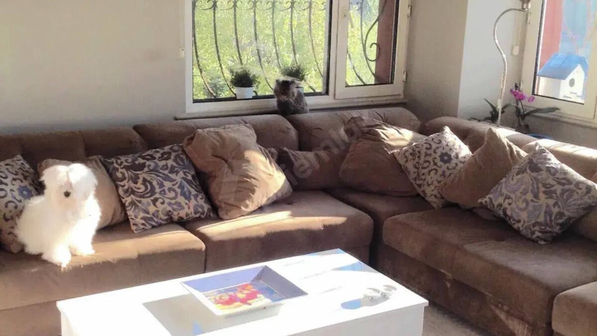 Sariyer House | Modern home in Maslak