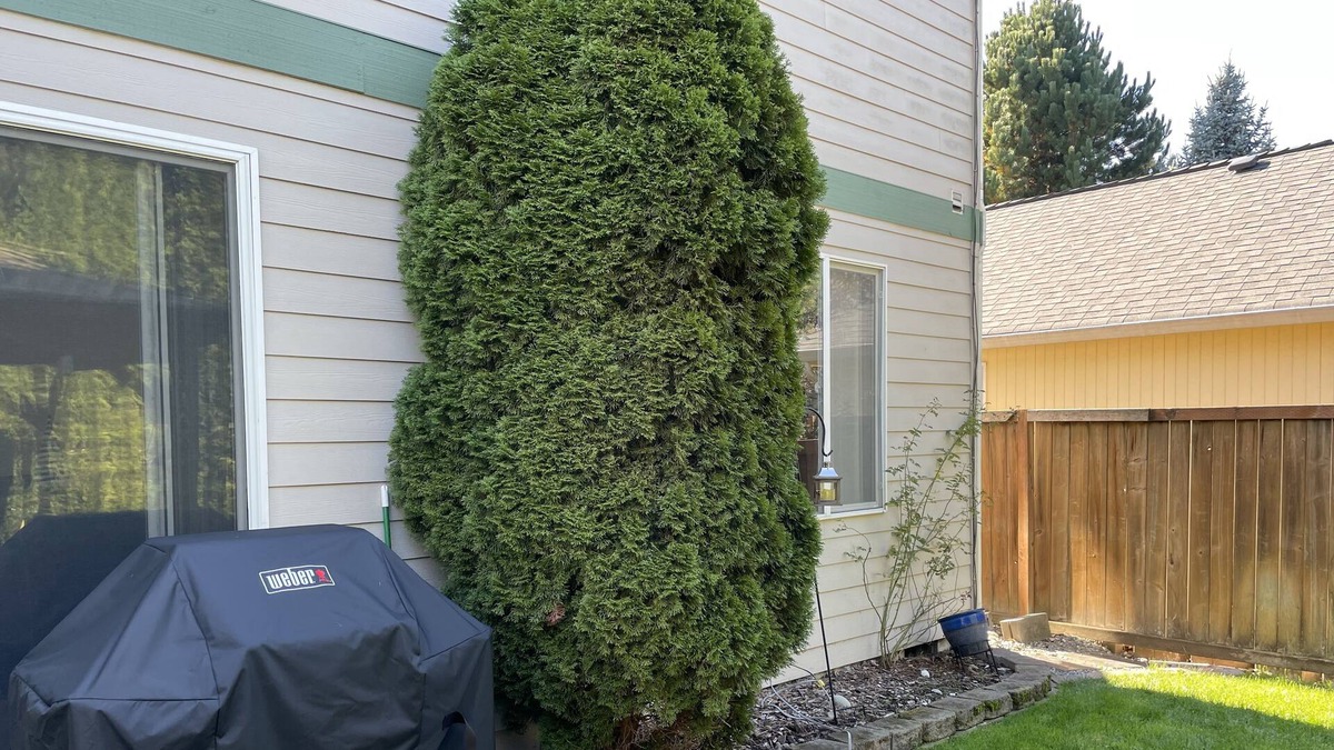 South Hill House | Modern Home in Puyallup WA