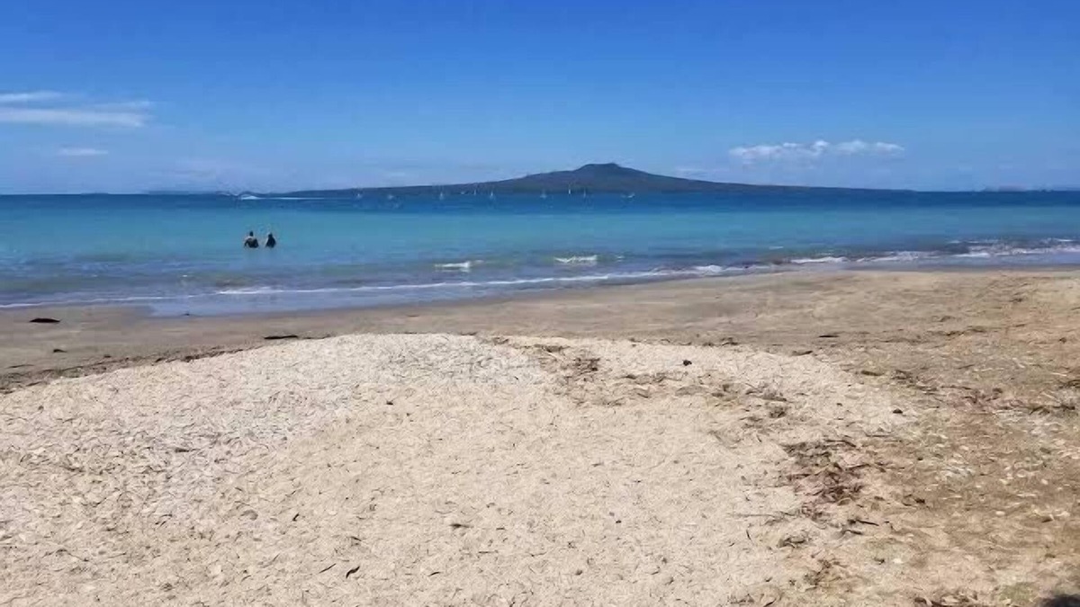 Hauraki Villa | Modern Home Takapuna | WI-FI | near Beach & CBD