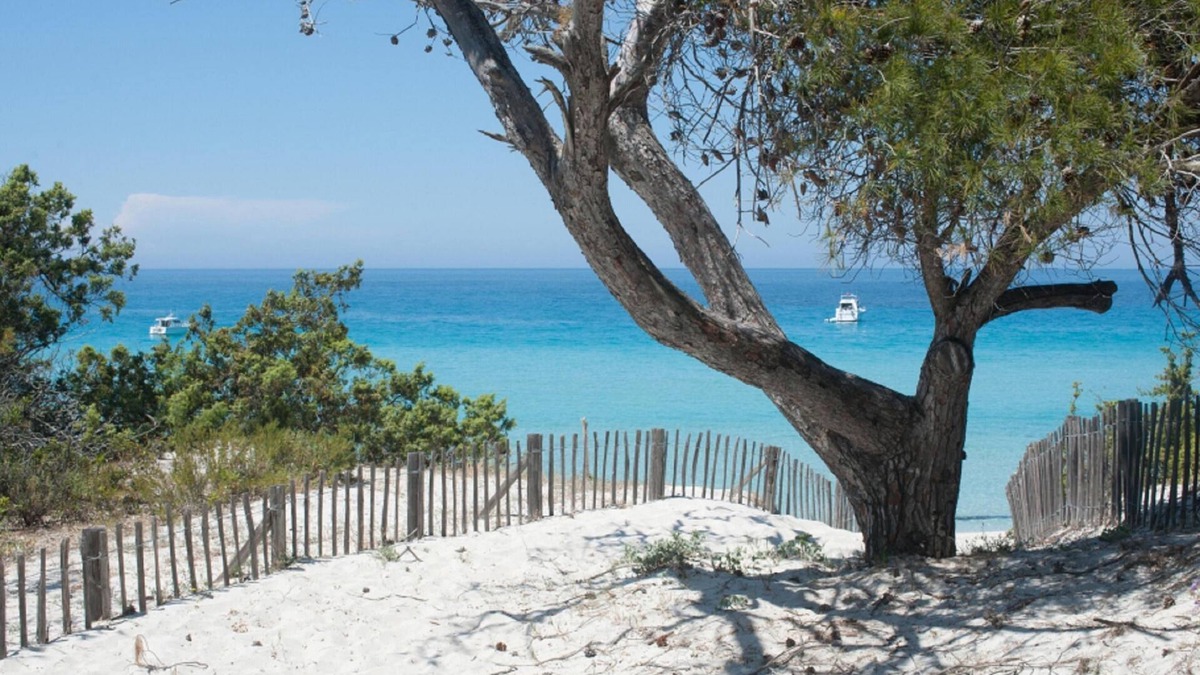 Oletta House | Modern house with private pool near the beach