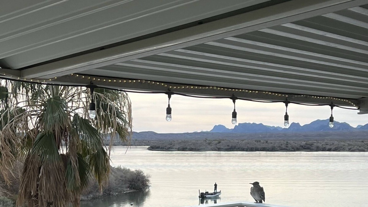 Lake Havasu City Resort | Modern Lakefront / Beachfront