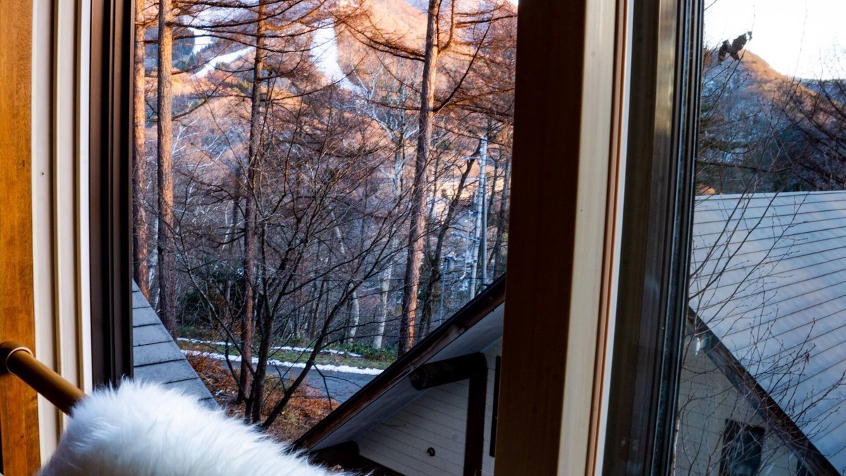 Shinano Apartment | Modern Mountain Loft 202 /Kamiminochi-gun Nagano