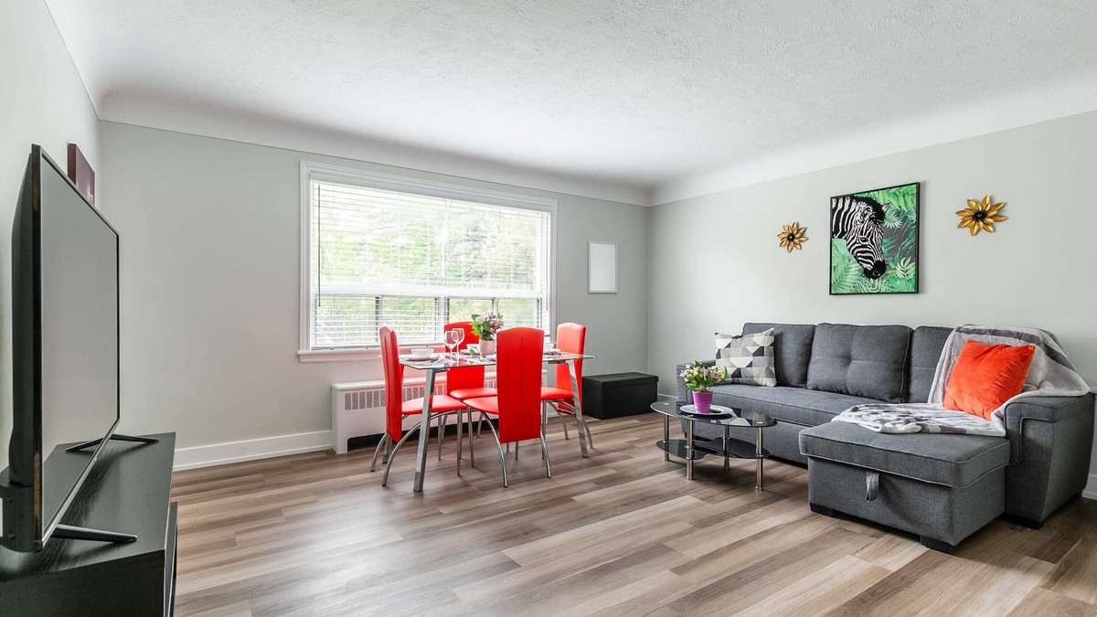 Hamilton Apartment | Modern Pet-friendly 1BR Near Downtown Hamilton