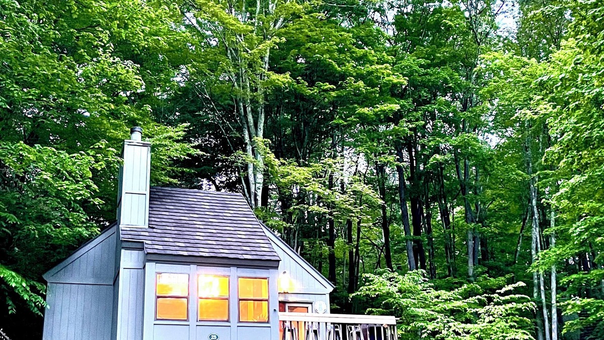 Davis Cabin | Modern Retreat - Pool + Views