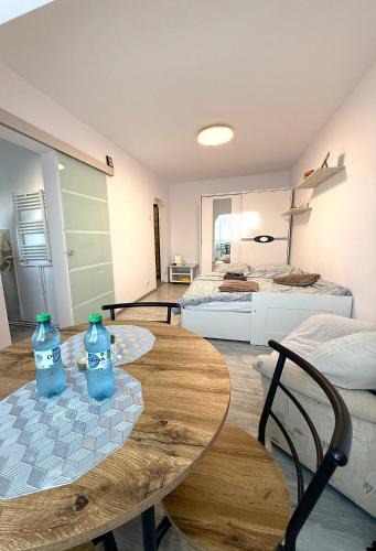 Falticeni Apartment | Modern Studio