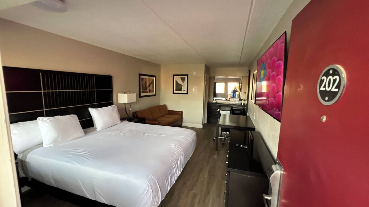 Broadmoor Apartment | Modern Studio with King Bed and Queen Sofa Sleeper In Central Baton Rouge