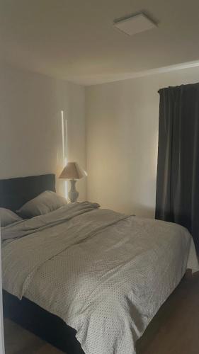 Bonfeld Apartment | Moderne Ferienwohnung Bad Rappenau