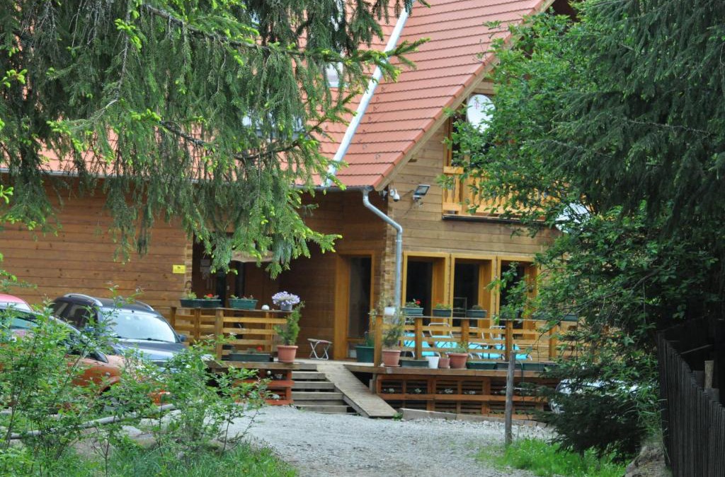 Sincraieni Bed & Breakfast | Mofetta Panzió