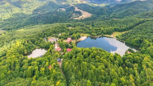 Baia-Sprie Apartment | Mogosa Village