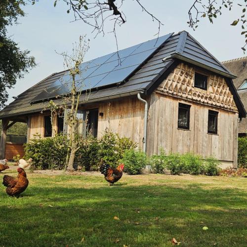Meppen House | MOI -Magnifiek Overnachten In- Meppen