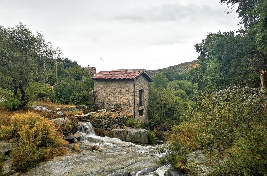 San Martin del Pimpollar Apartment | Molino Navarenas