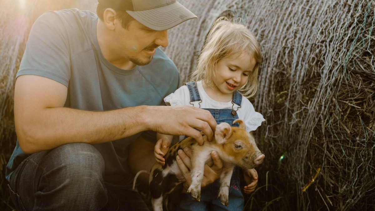 Stearns County House | Molitor Milk House-Feathered Acres Learning Farm & Inn
